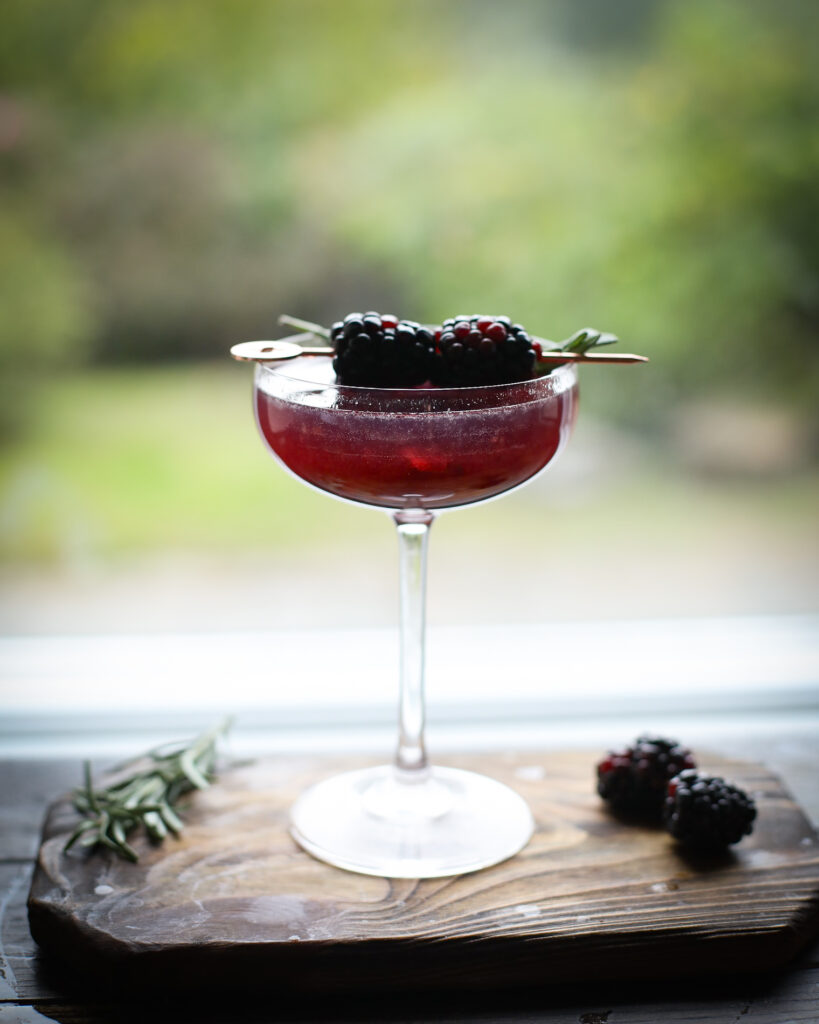 Blackberry Citrus Cocktail